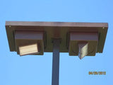 Solar Parkway Light